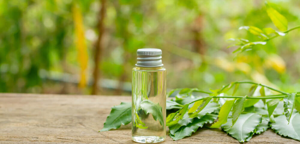Neem; an effective remedy for skin disorders