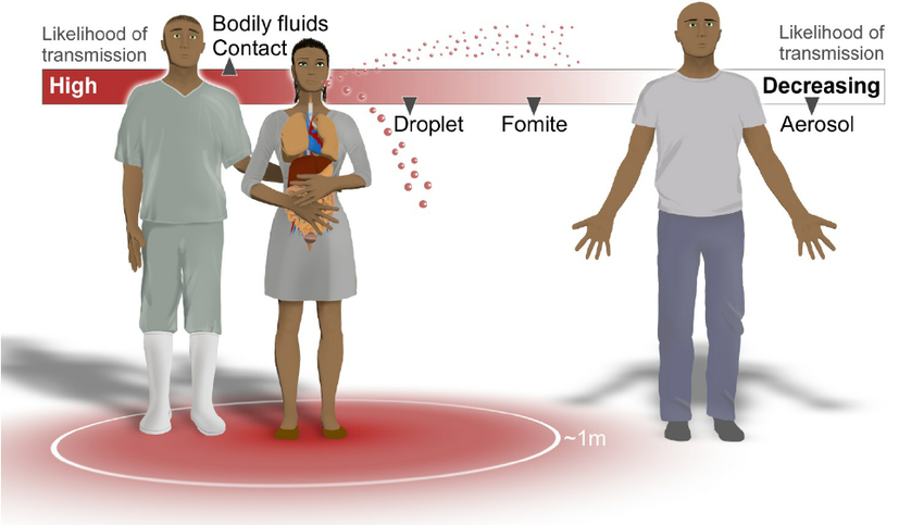 Coronavirus-airborne(1)