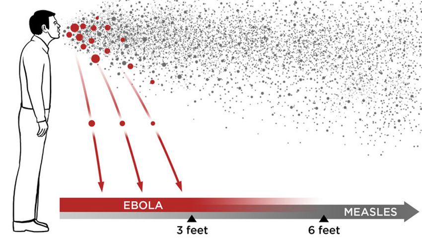 ebola